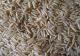Super Rice Fights For The Cause Of The Undernourished